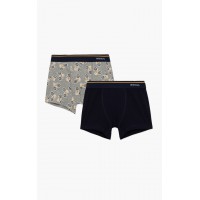 box29.Bikes Boys' / Teen's Boxer 2τμχ minerva