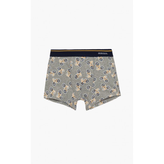 box29.Bikes Boys' / Teen's Boxer 2τμχ minerva